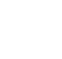 Comprehensive
Wellbeing Visualization